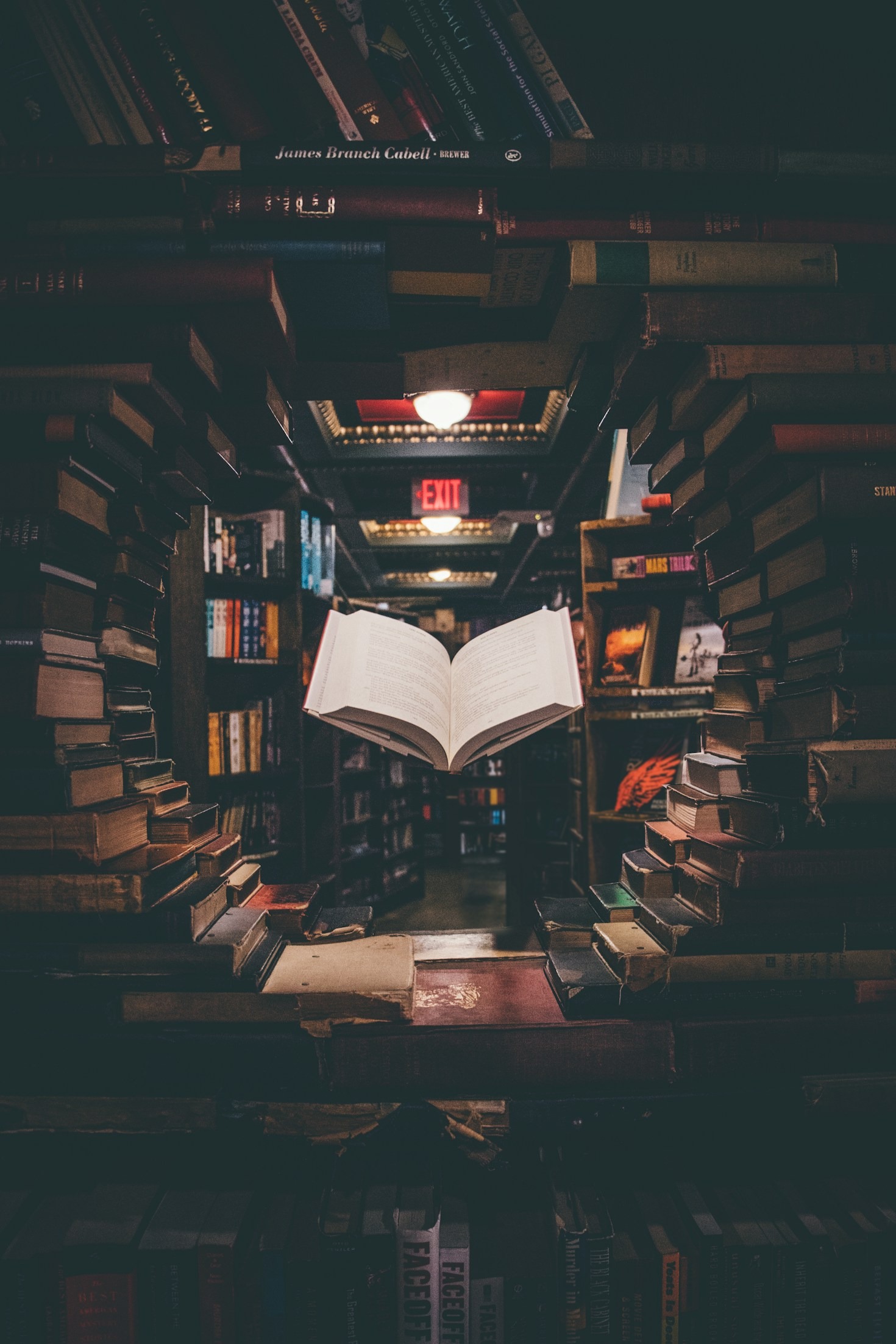 Understanding the Themes of Modern Literature