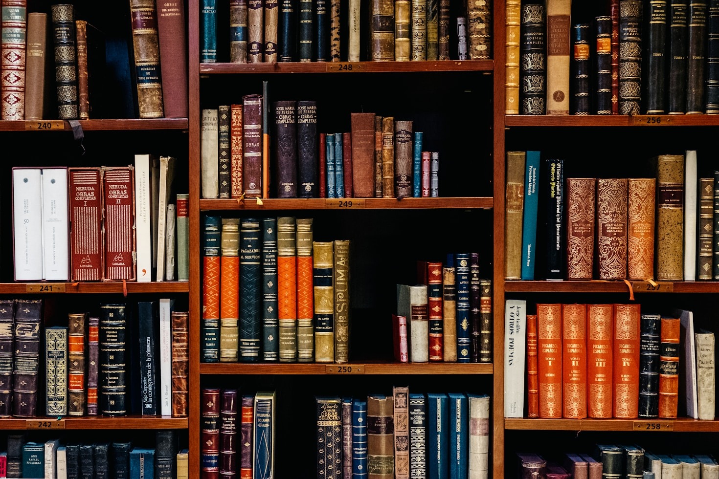 Literature’s Role in Shaping Society Today